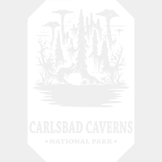 Carlsbad Caverns National Park Design - Parks Dtf Transfers Unisex S & M (10’) / Light Color See
