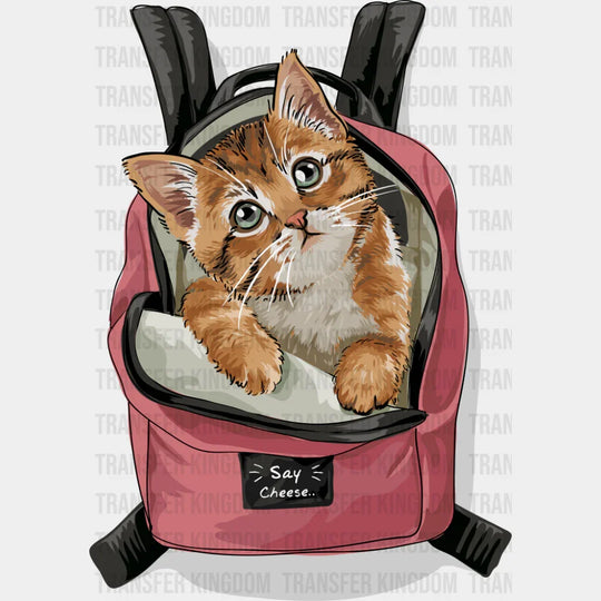 Cat In A Backpack - Cats DTF Transfer