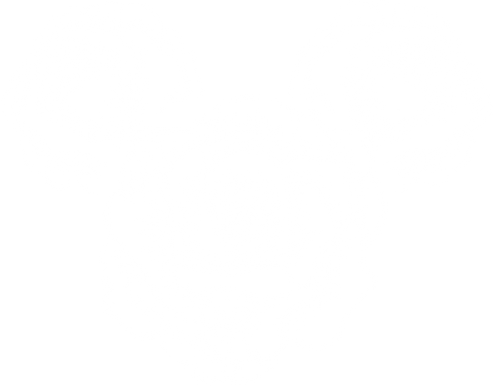 Floral Mickey Head Roses Design - DTF heat transfer