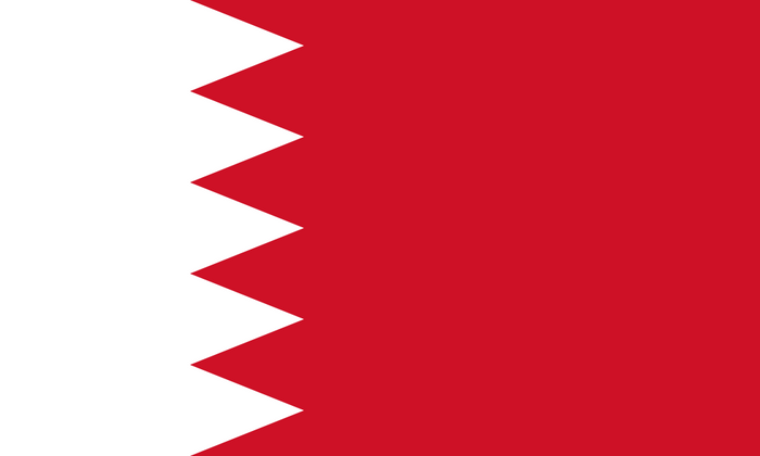 Bahrain Flag - Country Flags DTF Transfers