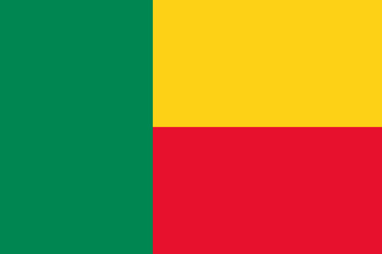 Benin Flag - Country Flags DTF Transfers transfer-kingdom