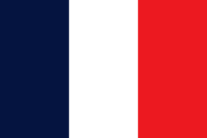 France Flag - Country Flags DTF Transfers