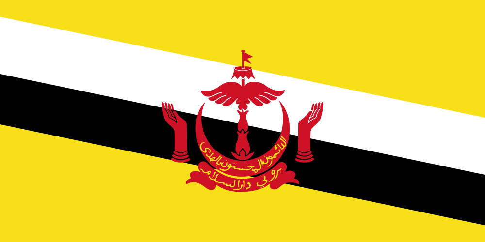 Brunei Flag - Country Flags DTF Transfers transfer-kingdom