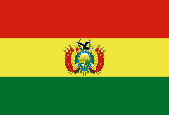 Bolivia Flag - Country Flags DTF Transfers transfer-kingdom