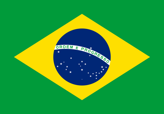 Brazil Flag - Country Flags DTF Transfers transfer-kingdom