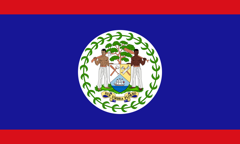 Belize Flag - Country Flags DTF Transfers transfer-kingdom