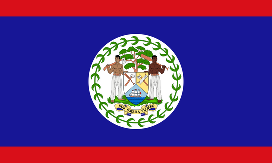 Belize Flag - Country Flags DTF Transfers transfer-kingdom
