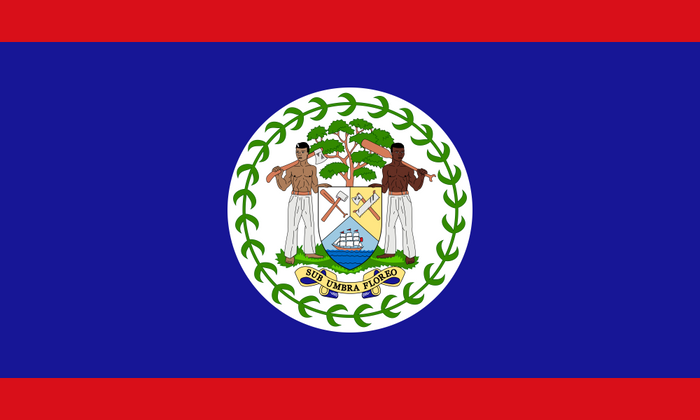 Belize Flag - Country Flags DTF Transfers