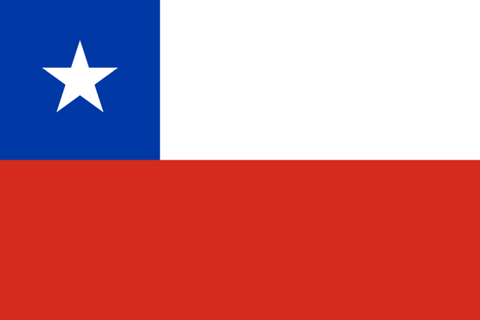 Chile Flag - Country Flags DTF Transfers