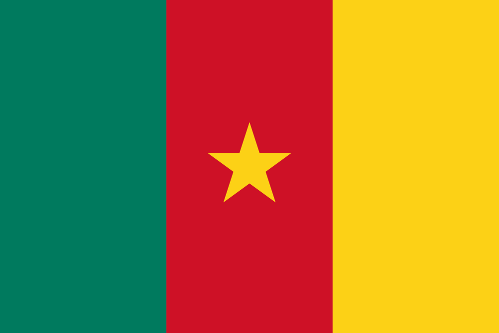 Cameroon Flag - Country Flags DTF Transfers transfer-kingdom