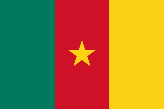 Cameroon Flag - Country Flags DTF Transfers transfer-kingdom