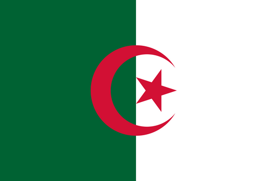 Algeria Flag - Country Flags DTF Transfers transfer-kingdom