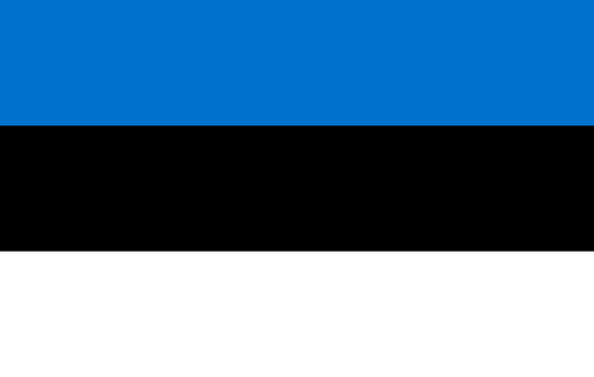 Estonia Flag - Country Flags DTF Transfers transfer-kingdom