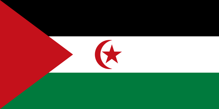 Sahrawi Arab Democratic Republic Flag - Country Flags DTF Transfers