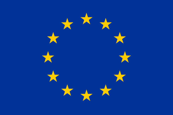 Europe Flag - Country Flags DTF Transfers