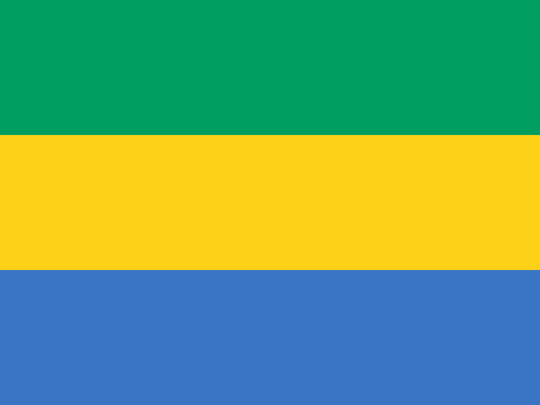 Gabon Flag - Country Flags DTF Transfers transfer-kingdom