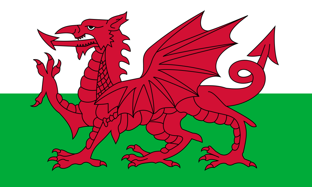 Wales Flag - Country Flags DTF Transfers transfer-kingdom