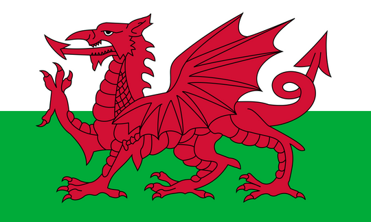 Wales Flag - Country Flags DTF Transfers transfer-kingdom