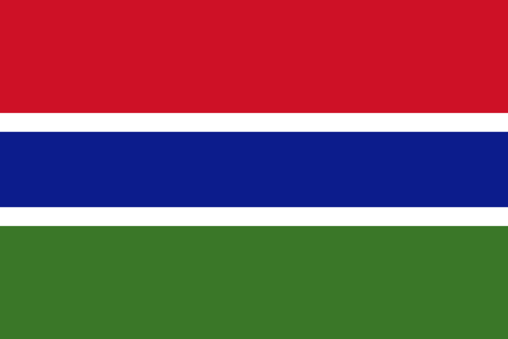 Gambia Flag - Country Flags DTF Transfers transfer-kingdom