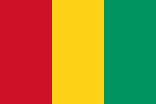 Guinea Flag - Country Flags DTF Transfers transfer-kingdom
