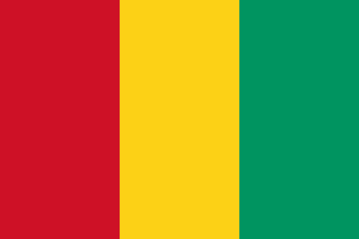 Guinea Flag - Country Flags DTF Transfers