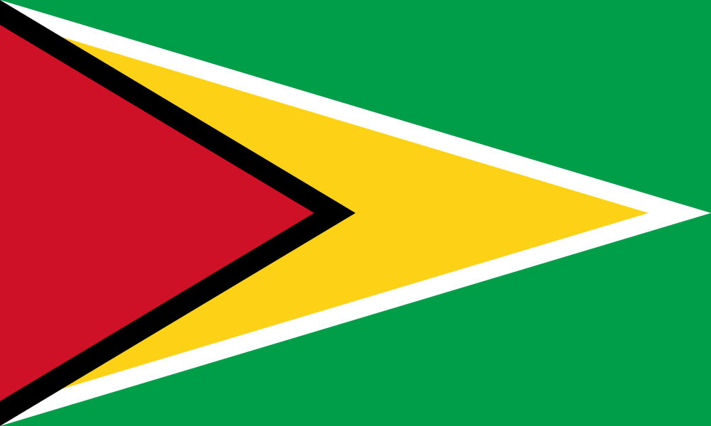 Guyana Flag - Country Flags DTF Transfers transfer-kingdom