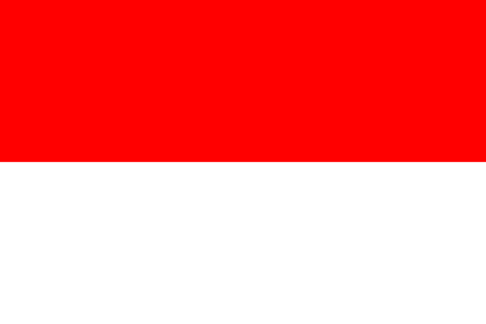 Indonesia Flag - Country Flags DTF Transfers transfer-kingdom