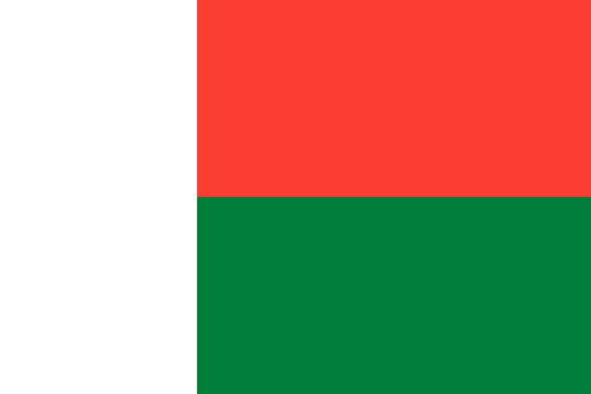 Madagascar Flag - Country Flags DTF Transfers