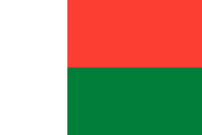 Madagascar Flag - Country Flags DTF Transfers