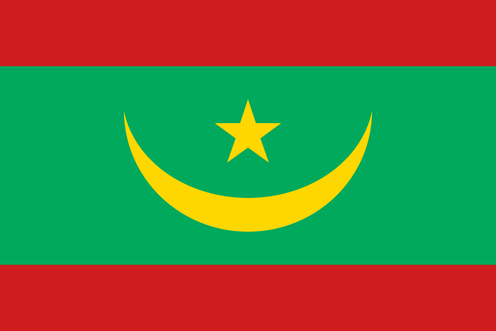 Mauritania Flag - Country Flags DTF Transfers