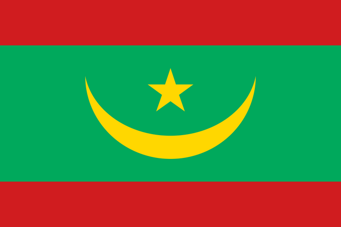 Mauritania Flag - Country Flags DTF Transfers