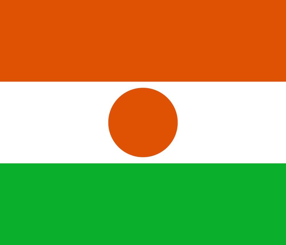 Niger Flag - Country Flags DTF Transfers