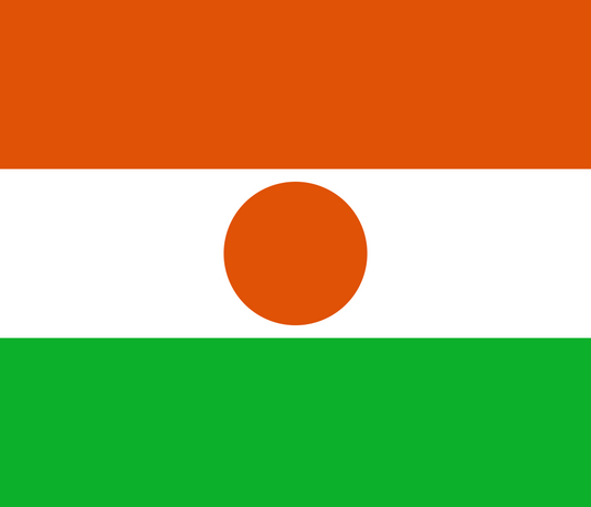 Niger Flag - Country Flags DTF Transfers