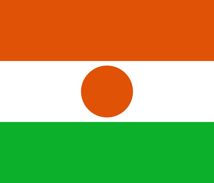 Niger Flag - Country Flags DTF Transfers