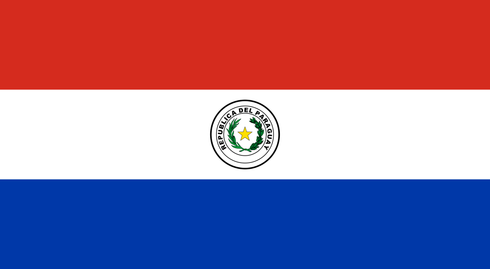 Paraguay Flag - Country Flags DTF Transfers