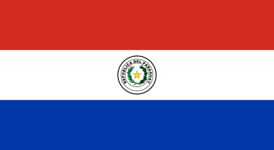 Paraguay Flag - Country Flags DTF Transfers