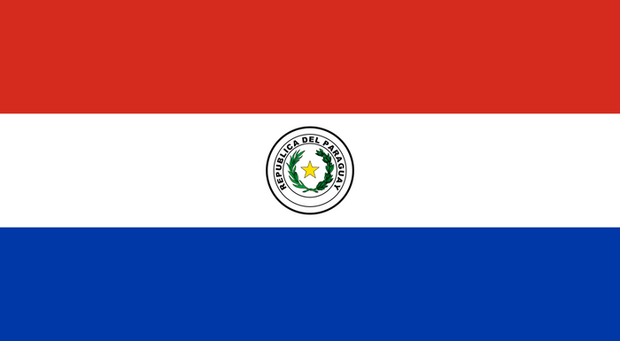 Paraguay Flag - Country Flags DTF Transfers