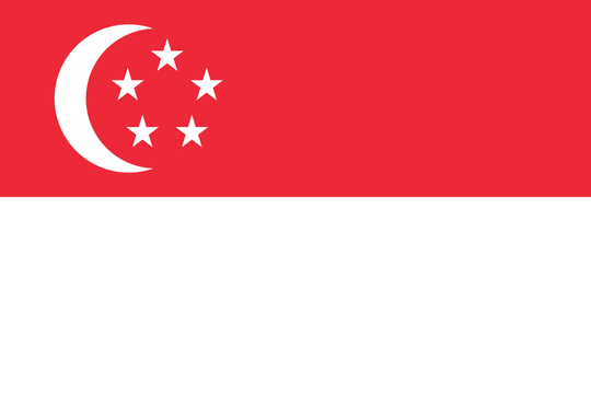 Singapore Flag - Country Flags DTF Transfers
