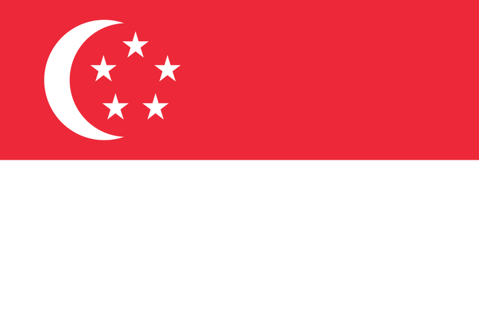Singapore Flag - Country Flags DTF Transfers
