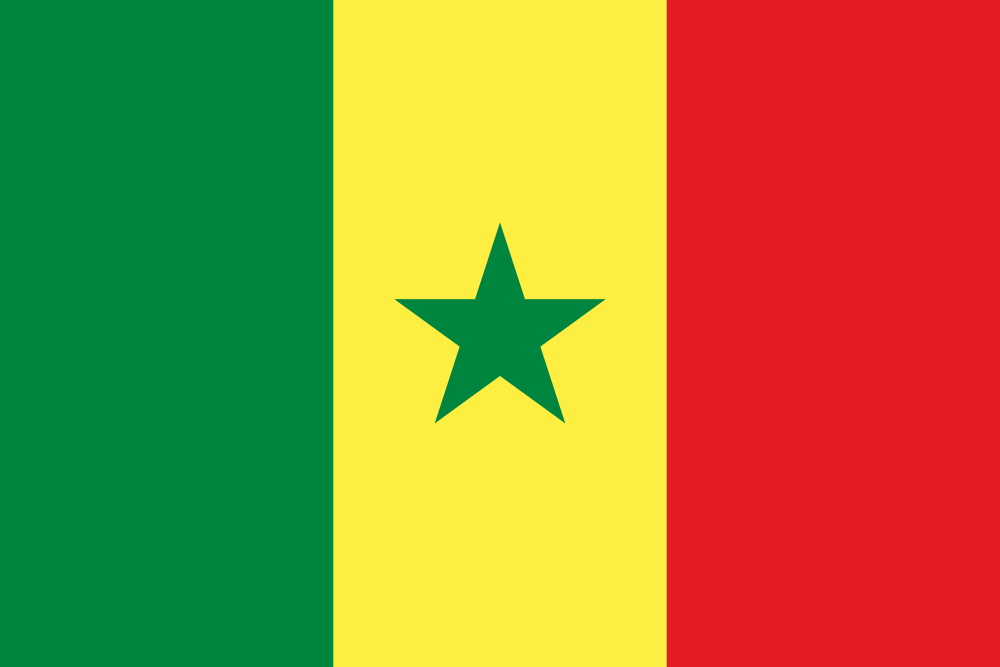 Senegal Flag - Country Flags DTF Transfers