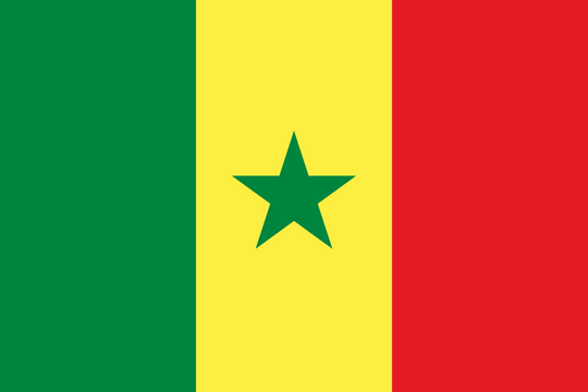 Senegal Flag - Country Flags DTF Transfers