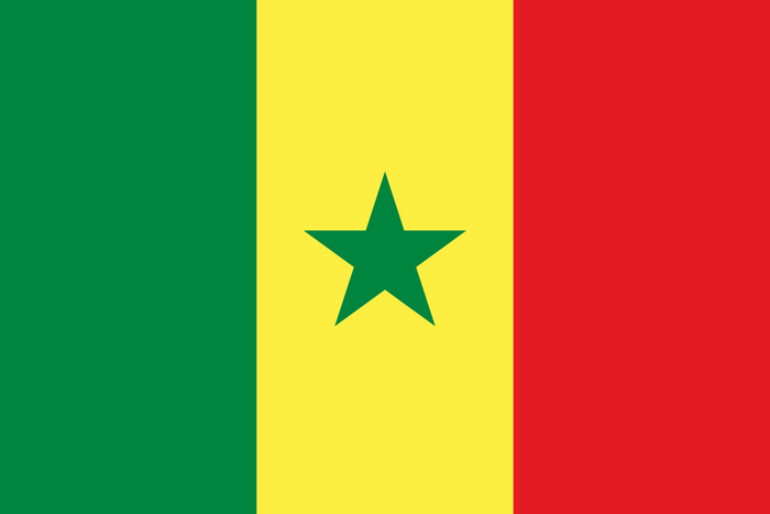 Senegal Flag - Country Flags DTF Transfers
