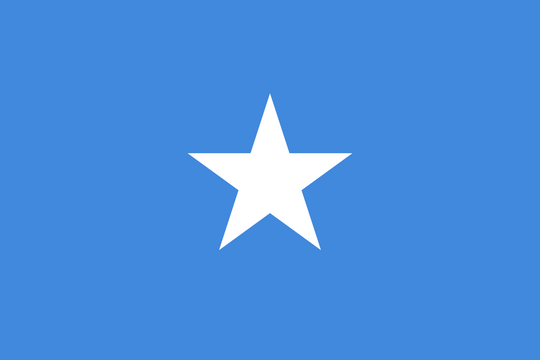 Somalia Flag - Country Flags DTF Transfers
