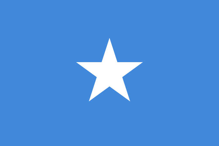 Somalia Flag - Country Flags DTF Transfers