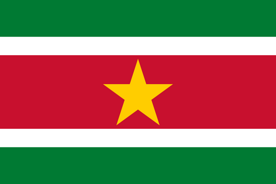 Suriname Flag - Country Flags DTF Transfers