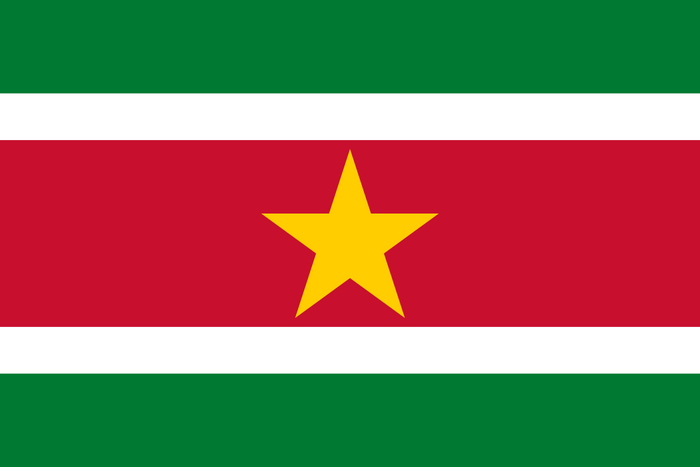 Suriname Flag - Country Flags DTF Transfers