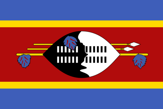 Eswatini Flag - Country Flags DTF Transfers