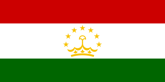 Tajikistan Flag - Country Flags DTF Transfers
