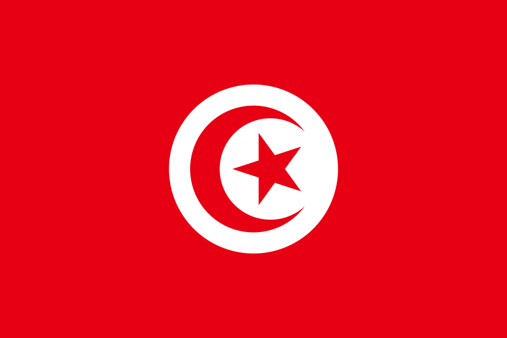 Tunisia Flag - Country Flags DTF Transfers