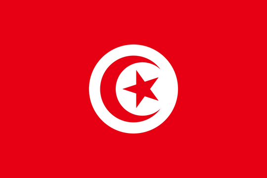 Tunisia Flag - Country Flags DTF Transfers
